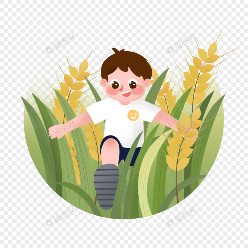 麦穗中小男孩图片