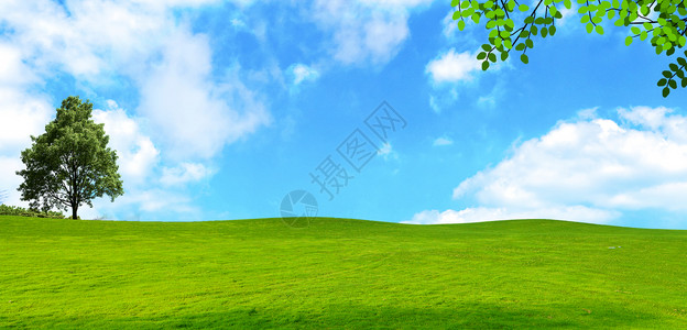 蓝天草地洁净树草地天空背景设计图片
