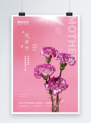 亲子背景简约康乃馨母亲节礼物节日海报模板