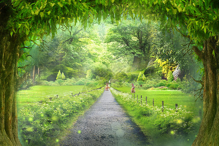 树林雾森林合成背景设计图片