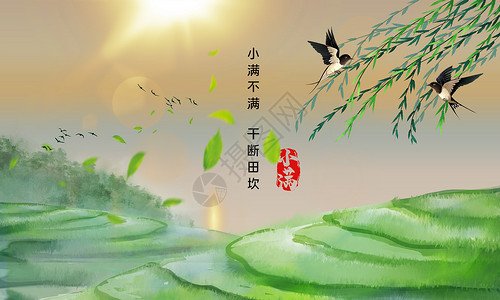 中国稻田二十四节气之小满设计图片