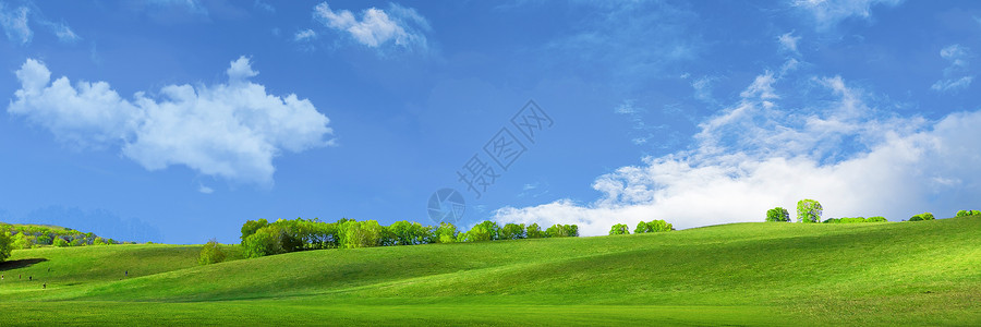 草地天空背景背景图片