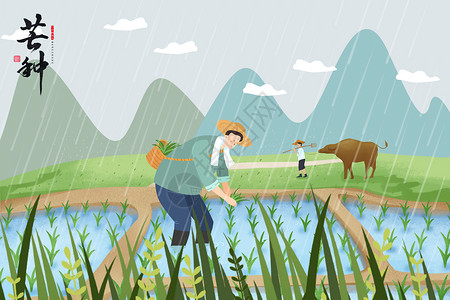 种植水稻农民芒种的农民插画