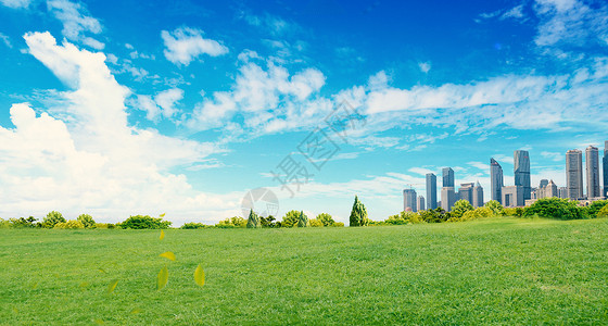 清新植物景观草地天空背景设计图片