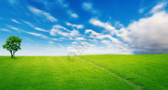 草地天空背景图片