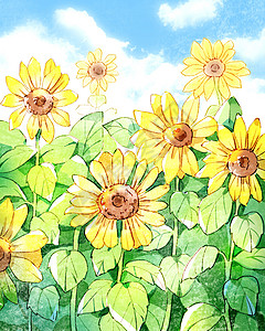 盛夏水彩向日葵背景图片