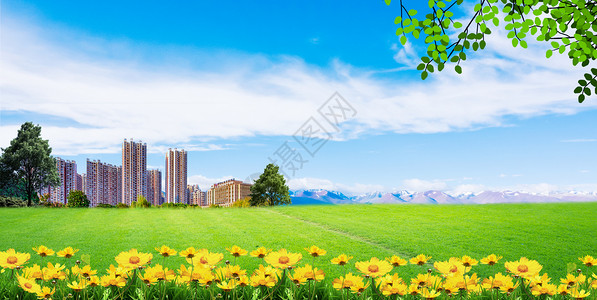 城市下的郁金香草地天空背景设计图片