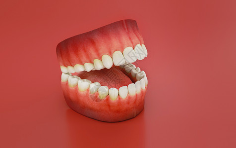 黄牙齿牙齿模型设计图片