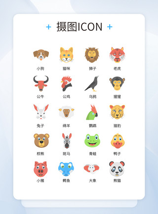自然界素材UI设计卡通风格小动物头像彩色icon图标模板