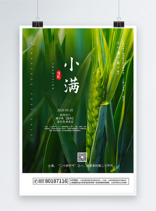 中国元主题海报摄影主题小满海报模板
