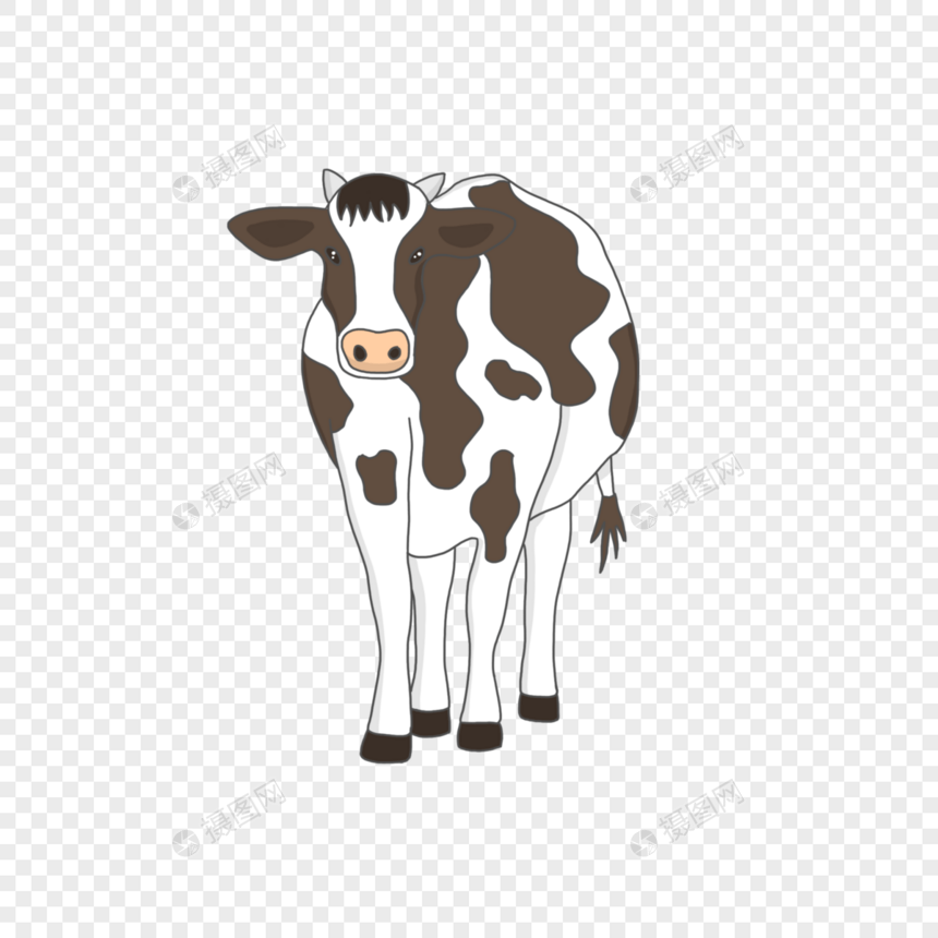 奶牛图片