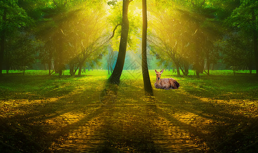 长颈鹿公园梦幻森林设计图片