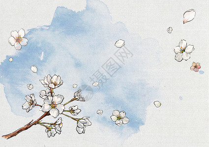 樱花背景系列之染井吉野樱背景图片