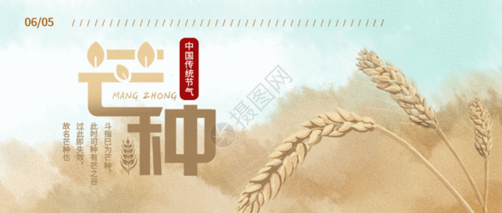 中国农民丰收节海报二十四节气芒种微信公众号封面GIF高清图片