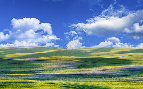 大草原看法蓝天白云草地背景设计图片