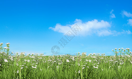 天空里的一束花蓝天白云草地背景设计图片