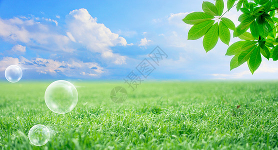绿草从清新蓝天白云背景设计图片