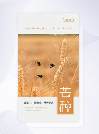 芒种丰收稻田UI设计二十四节气芒种APP启动页模板