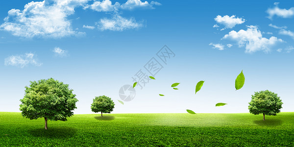 河边一排树草地天空环保背景设计图片