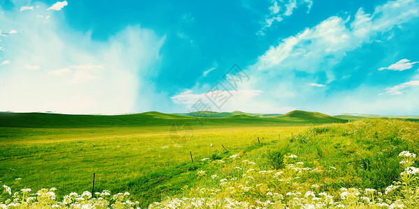 鲜花农村素材草地天空背景设计图片