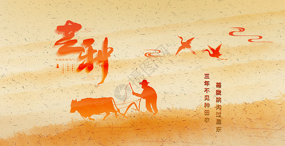 中国农民丰收节海报芒种节气设计图片