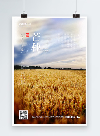 稻谷种子简约文艺芒种麦田二十四节气海报模板