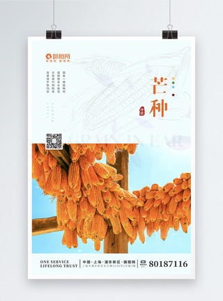 小麦玉米清新简约丰收玉米芒种海报模板