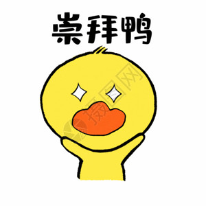 白色的崇拜崇拜鸭可爱小黄鸭表情GIF高清图片