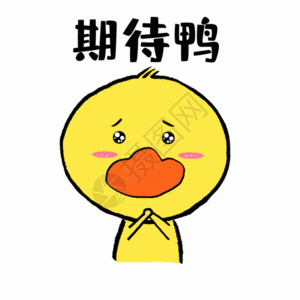 期待鸭可爱小黄鸭表情GIF图片