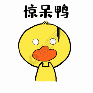 惊呆鸭可爱小黄鸭表情GIF图片