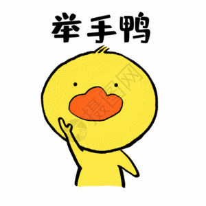 举手鸭可爱小黄鸭表情GIF图片
