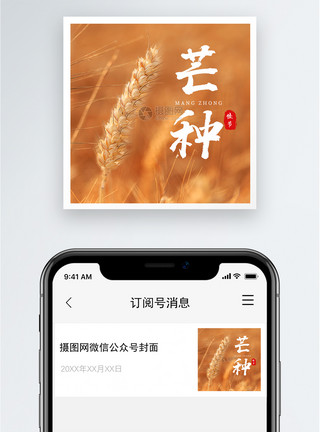 丰收芒种公众号小图模板