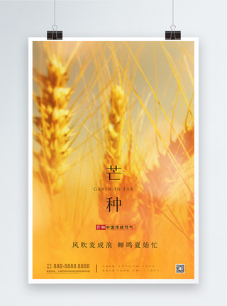 秋季麦田二十四节气芒种摄影照片风宣传海报模板