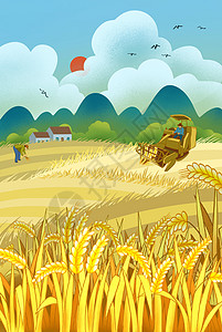世界粮食日摄影图海报24节气芒种插画
