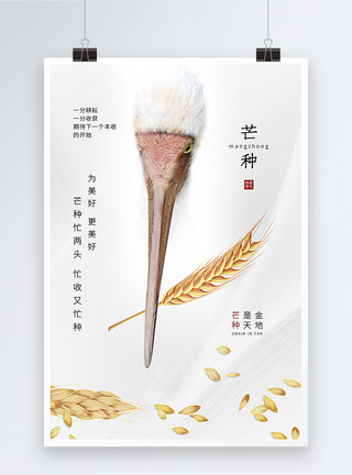 收菜农民简洁大气小麦芒种24节气海报模板