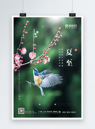 中国风花鸟盘子清新简约夏至花鸟节气海报模板
