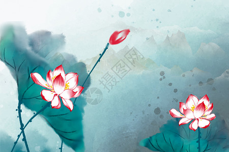 盛开的莲花荷花背景设计图片