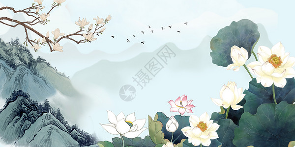 荷花背景中式花卉水墨高清图片