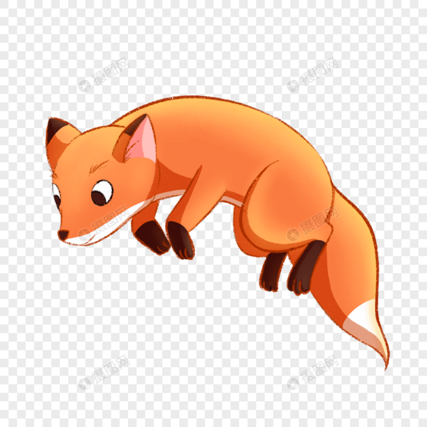 小暑狐狸图片