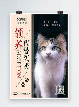 猫和爱心领养宠物海报设计模板