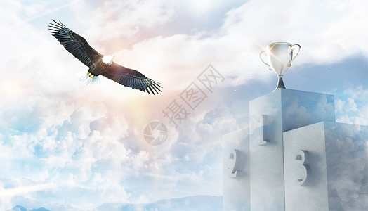 飞鸟鹰燕子飞翔企业文化设计图片