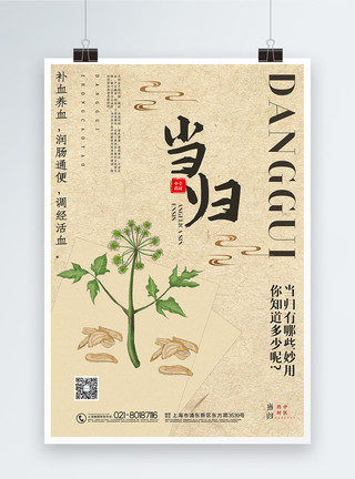 中草药植物简约中国风当归中草药系列宣传海报模板