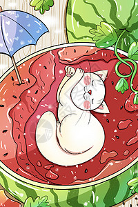 大暑吃西瓜的猫咪背景图片
