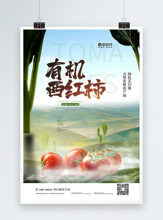番茄工作助农产品有机西红柿宣传海报模板