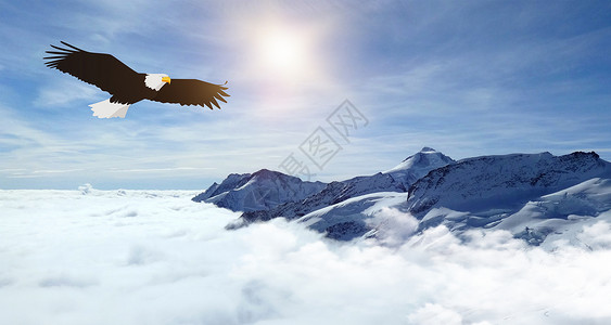 老鹰飞翔企业文化背景设计图片