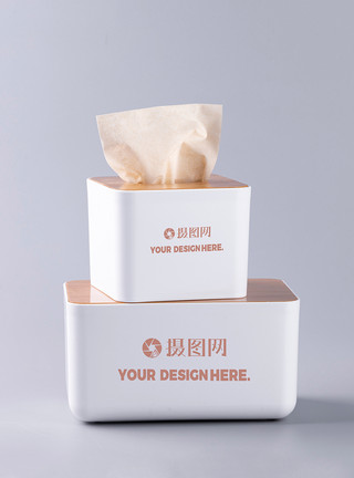 粤菜餐厅家用卫生抽纸盒展示样机模板