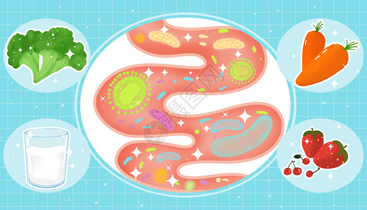 细菌繁殖肠道健康插画