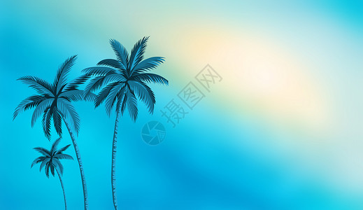 椰子树风景夏日渐变背景设计图片