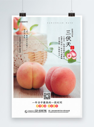 夏季可爱水蜜桃写实风三伏天养生宣传海报模板