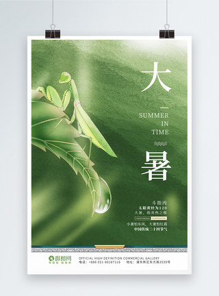 大暑水墨绿色二十四节夏季海报模板